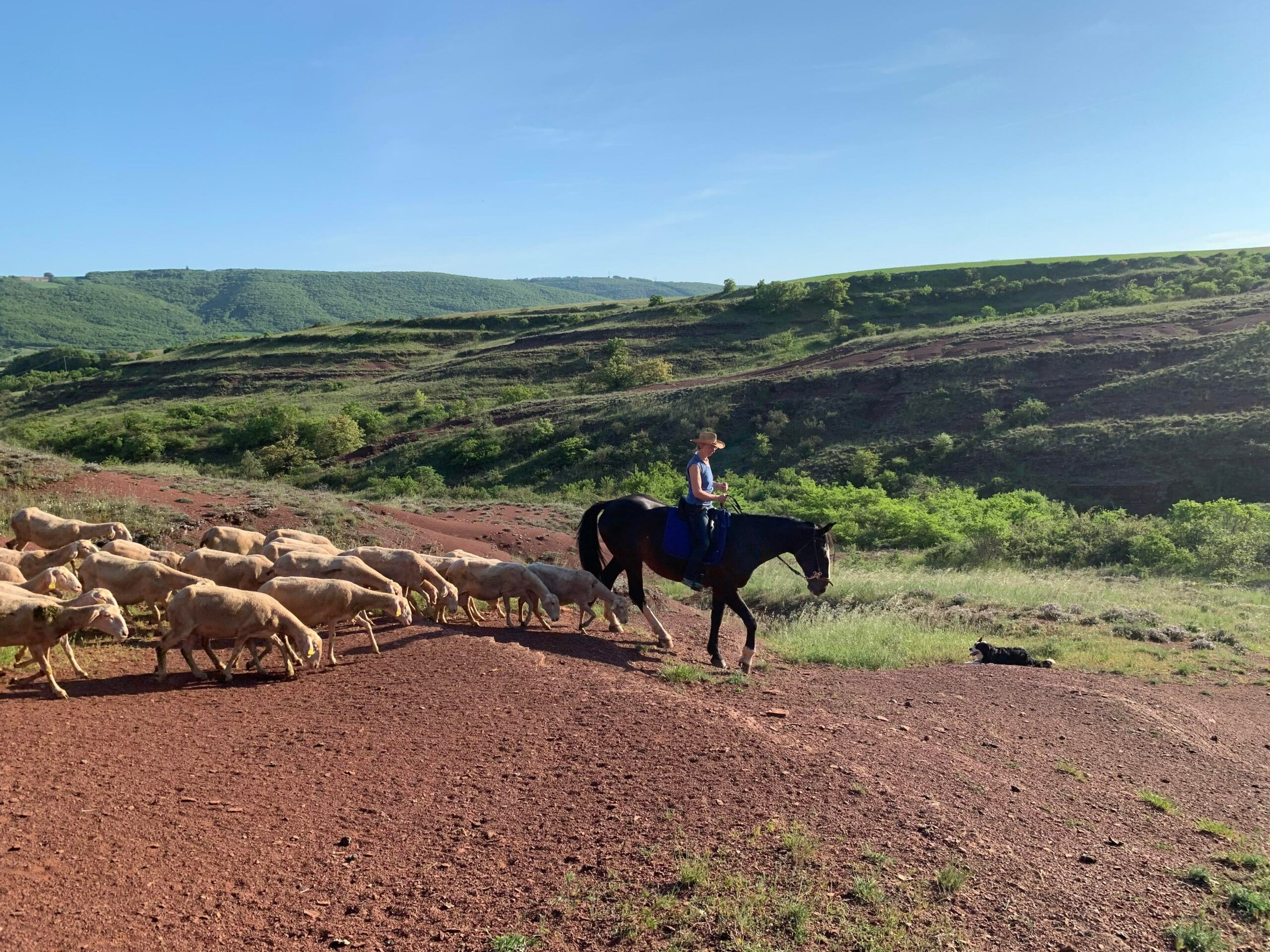 7ème - Transhumance dans les Rougiers à cheval